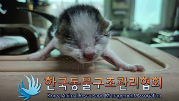종료(자연사) 한국…